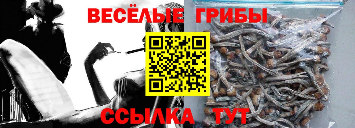 Псилоцибиновые грибы MAGIC MUSHROOMS  Галлюциногенные грибы GOLDEN TEACHER  Каменск-Уральский  Вход с VPN 